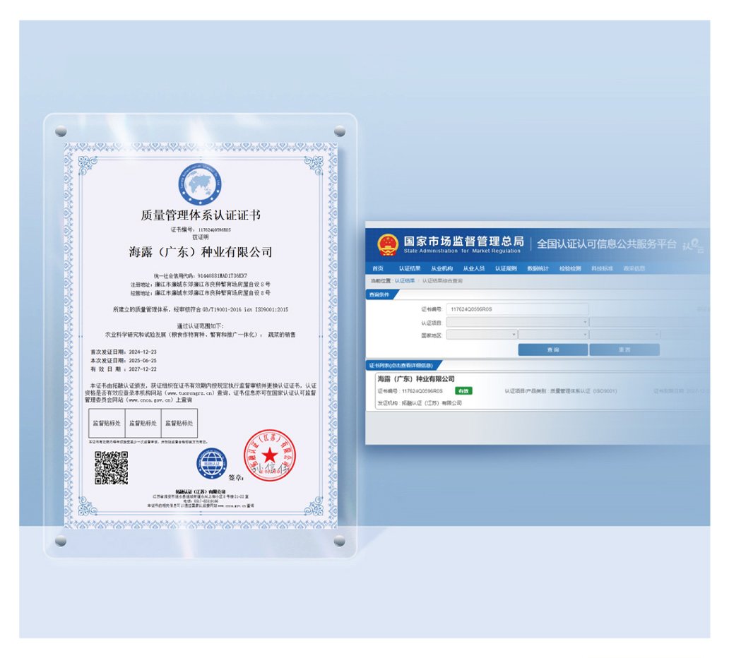 优发国际·随优而动一触即发