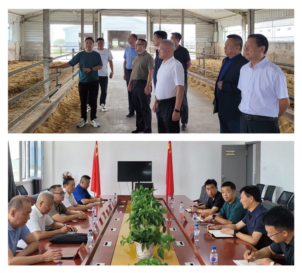 优发国际·随优而动一触即发