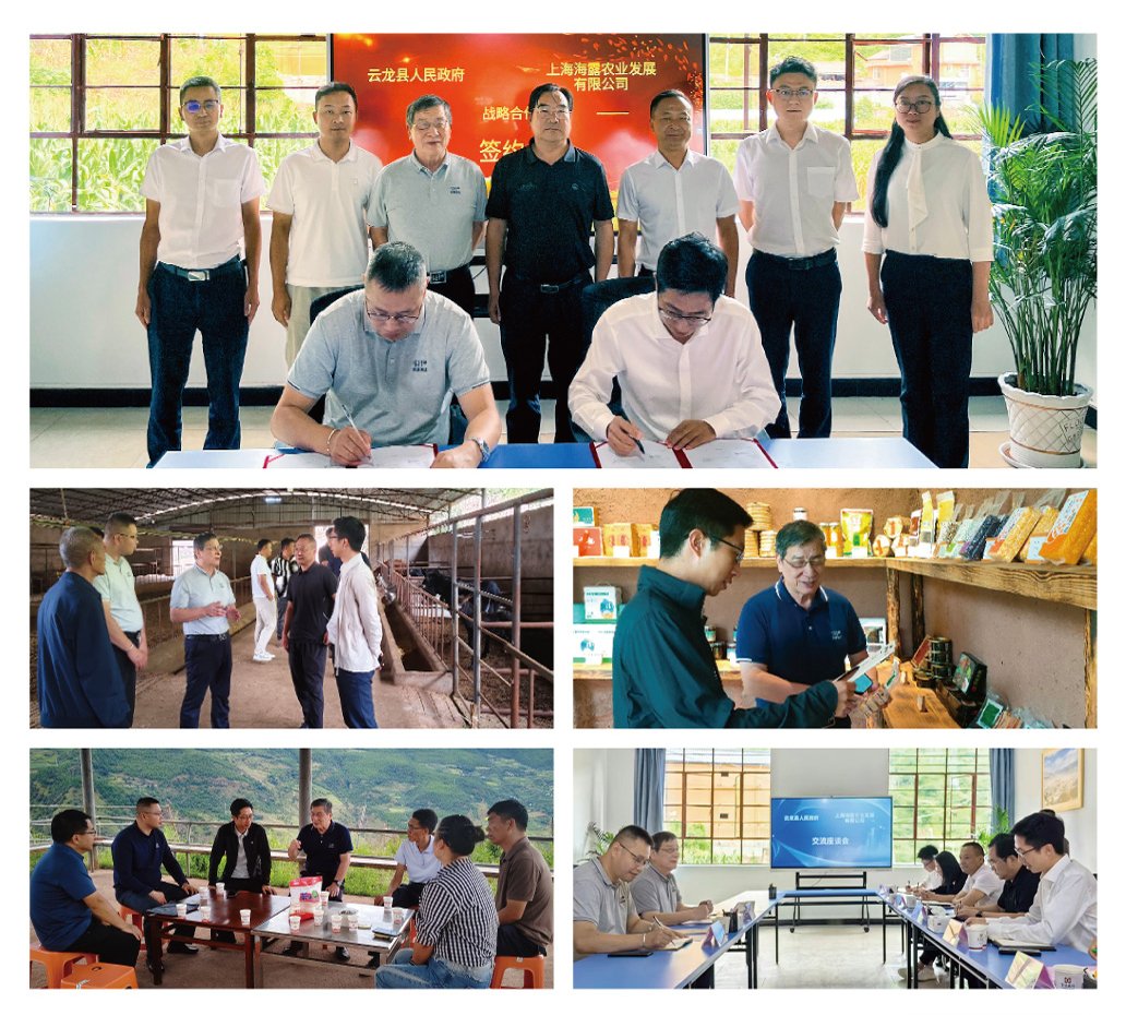 优发国际·随优而动一触即发