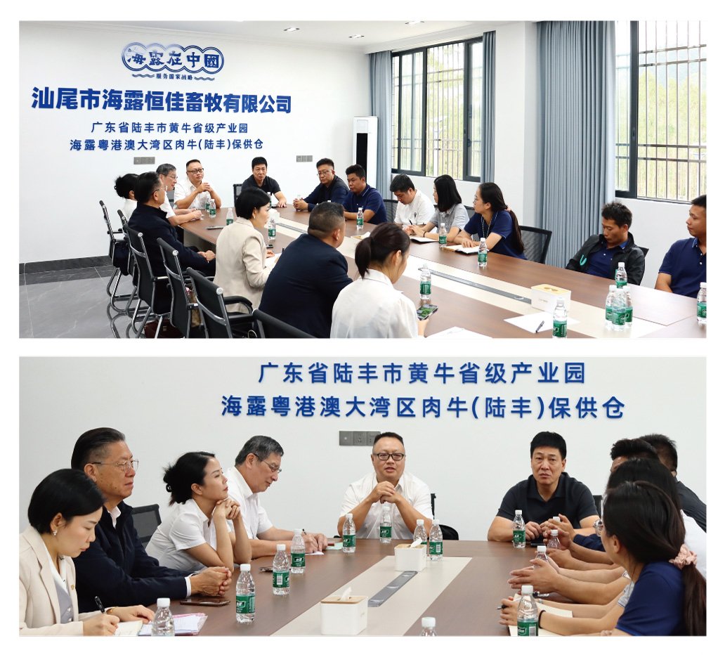 优发国际·随优而动一触即发