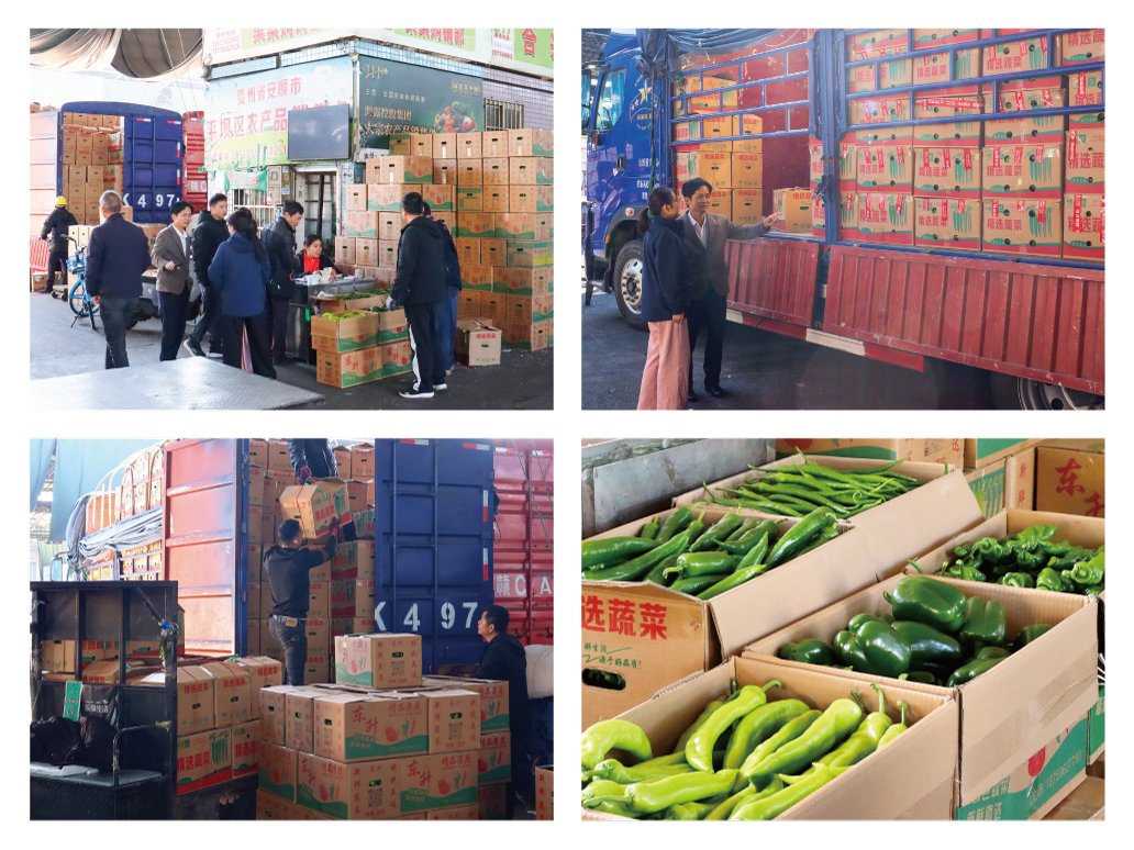 优发国际·随优而动一触即发